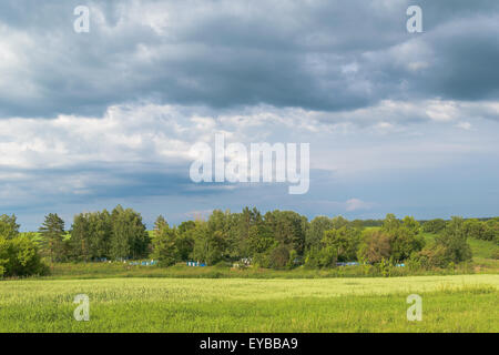 Vieux cimetière rural dans les arbres au milieu de prairies d'herbe sous le ciel nuageux le long d'une journée d'été. Banque D'Images