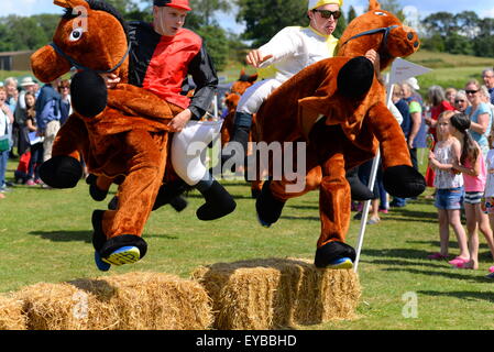 Courses de jockeys et saut dans la course hippique habillée Damerham Derby au Damerham Fair and Horticultural Show, Hampshire, Royaume-Uni Banque D'Images