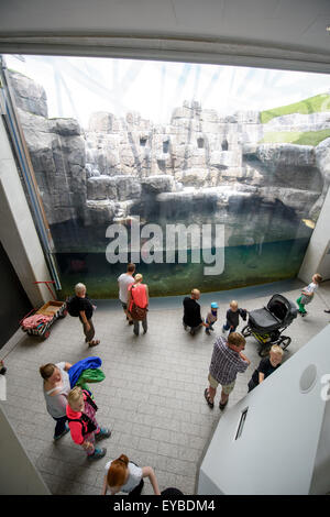 Copenhague, Danemark. Le 13 juillet, 2015. Les visiteurs et invités dans le zoo de Copenhague, Danemark, 13 juillet 2015. Photo : Thomas Eisenhuth/DPA - PAS DE FIL - SERVICE/dpa/Alamy Live News Banque D'Images