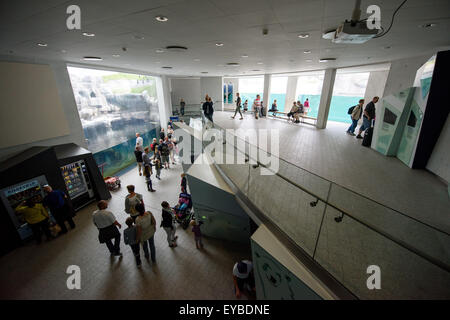 Copenhague, Danemark. Le 13 juillet, 2015. Les visiteurs et invités dans le zoo de Copenhague, Danemark, 13 juillet 2015. Photo : Thomas Eisenhuth/DPA - PAS DE FIL - SERVICE/dpa/Alamy Live News Banque D'Images