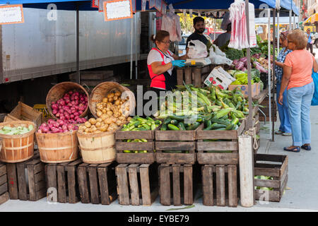 Les femmes achètent des légumes au Sugar Hill Greenmarket à New York City. Banque D'Images