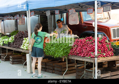 Une femme achète des légumes au Sugar Hill Greenmarket à New York City. Banque D'Images