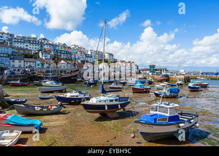 Le port de Brixham, Torbay, dans le Devon, England, UK Banque D'Images