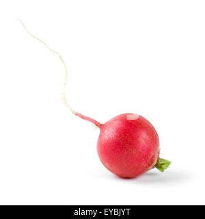 Les radis rouges sur fond blanc Banque D'Images