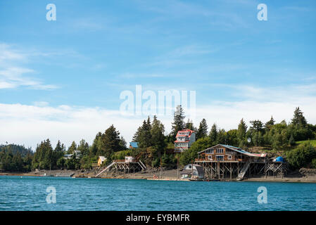 Maisons à Halibut Cove, Kachemak Bay, Alaska, USA Banque D'Images