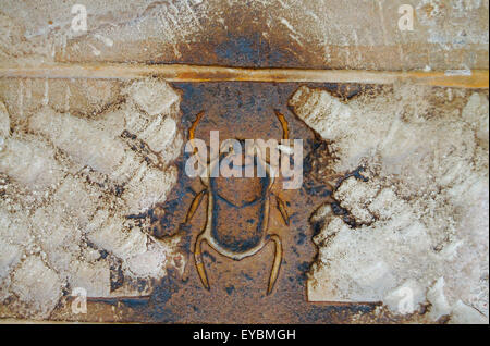 Hiéroglyphe Scarab à Temple de Karnak - Louxor - Egypte Banque D'Images