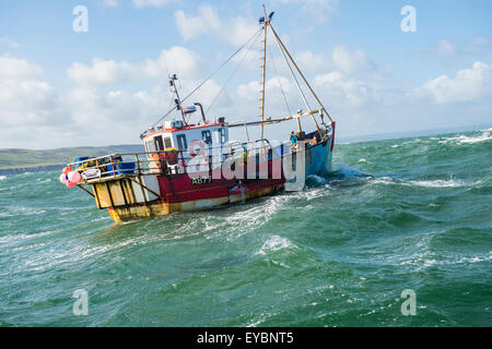 La pêche côtière dans la baie Cardigan : un petit bateau de pêche du homard et du crabe qui travaille à Aberystwyth, Ceredigion Harbour West Wales UK Banque D'Images