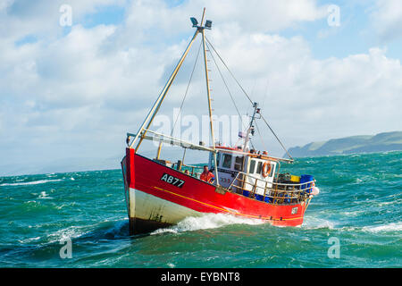 La pêche côtière dans la baie Cardigan : un petit bateau de pêche du homard et du crabe qui travaille à Aberystwyth, Ceredigion Harbour West Wales UK Banque D'Images