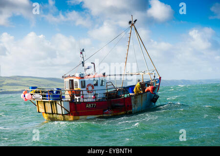 La pêche côtière dans la baie Cardigan : un petit bateau de pêche du homard et du crabe qui travaille à Aberystwyth, Ceredigion Harbour West Wales UK Banque D'Images