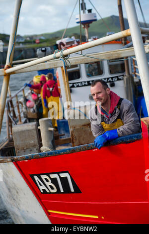 La pêche côtière dans la baie Cardigan : un pêcheur sur un petit bateau de pêche du homard et du crabe qui travaille à Aberystwyth, Ceredigion Harbour West Wales UK Banque D'Images