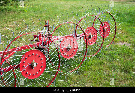 Nouvelle faneuse sur un pré vert avec des fleurs. Close-up. Banque D'Images