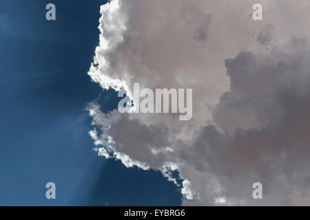 Regardant les nuages blancs moelleux et ciel bleu Banque D'Images