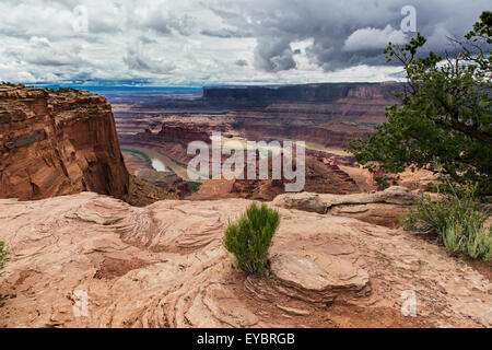 Dead Horse State Park, Utah Banque D'Images