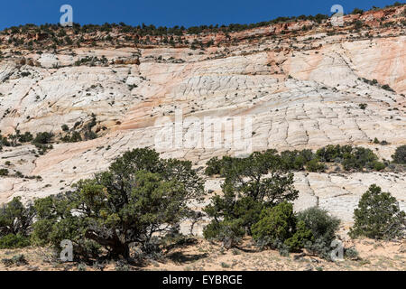 Grand Staircase-Escalante National Monument (Utah) Banque D'Images