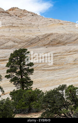 Grand Staircase-Escalante National Monument (Utah) Banque D'Images