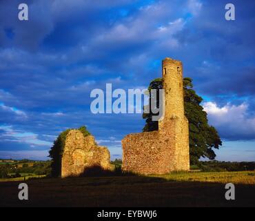 St Mary's Abbey, Fougères, Co Wexford, Irlande ; Créé en 1158 l'abbaye Banque D'Images