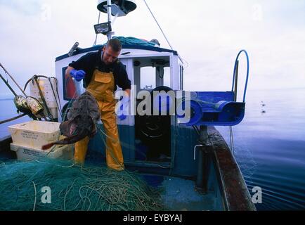 Les pêcheurs côtiers, attraper les poissons, moine Co Waterford, Ireland Banque D'Images