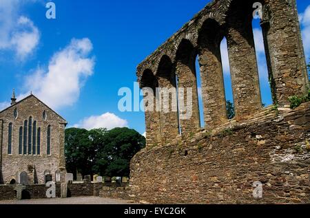 St Mary's Abbey, Fougères, Co Wexford, Irlande Banque D'Images