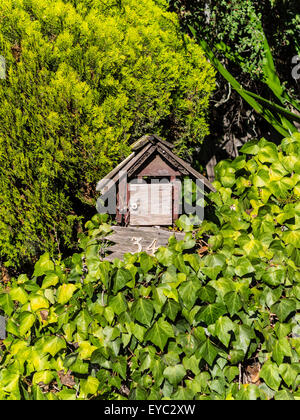 Ancienne boîte en bois rustique entouré par plus de végétation cultivée dans une maison à Santa Barbara County, en Californie. Banque D'Images