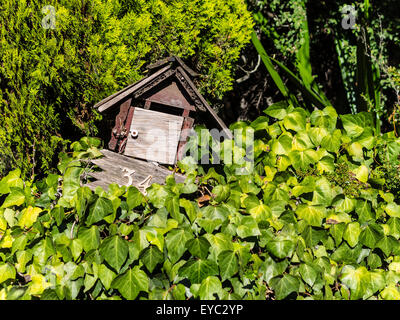 Ancienne boîte en bois rustique entouré par plus de végétation cultivée dans une maison à Santa Barbara County, en Californie. Banque D'Images