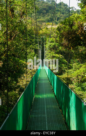 Pont suspendu, Cloud Forest, Monteverde, Costa Rica Banque D'Images