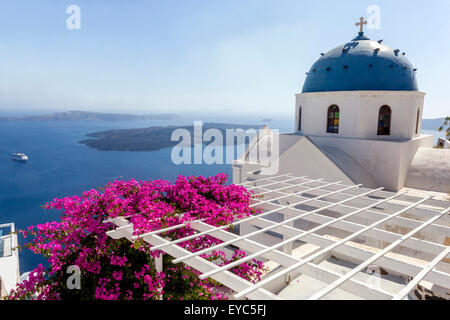 Imerovigli, Santorini Blue Dome église Cyclades, Iles grecques, Grèce Bougainvillea sur la terrasse pergola Europe Banque D'Images