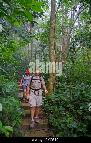 Les randonneurs dans la jungle du Parc National de Cuc Phuong Banque D'Images