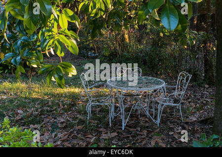 Table en fer forgé blanc et deux chaises abandonnées à l'extérieur sous un magnolia besoin d'un nettoyage avant l'été Banque D'Images