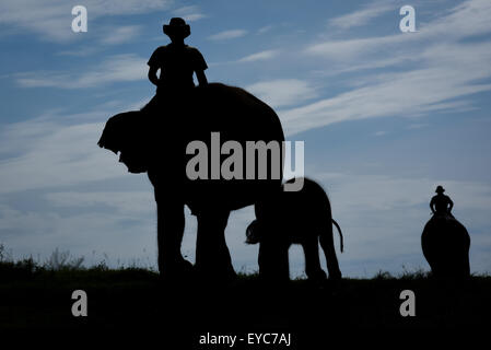 Mahouts à cheval sur des éléphants au centre de réhabilitation des éléphants de Sumatran, silhoueté dans le ciel lumineux. Parc national de Way Kambas, Indonésie. Banque D'Images