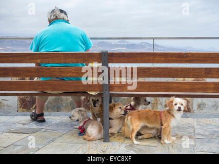 Série d'images montrant des expressions animées les chiens et les réactions qu'ils attendent pour propriétaire en dehors des marchands de Banque D'Images