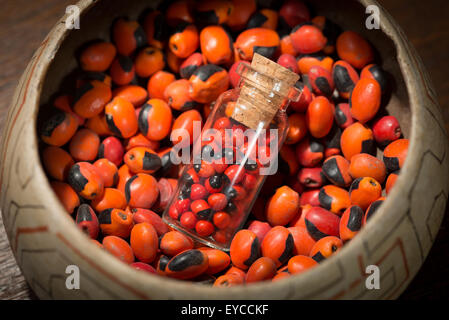 Hambourg, Allemagne, huayruro fruits de Pérou Banque D'Images