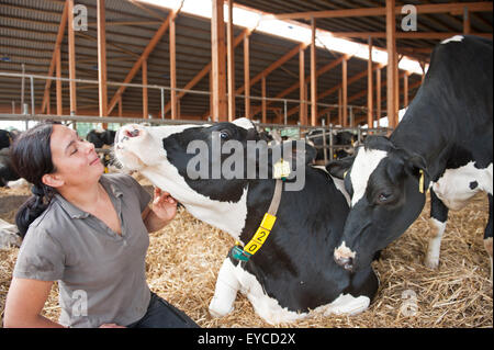 Trebel, Allemagne, Monika Wildt en vaches laitières dans la grange de leur ferme Banque D'Images