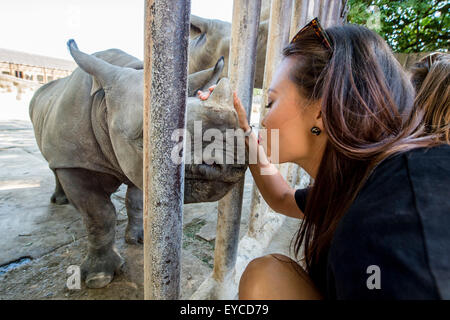 Rhinocéros noir mâle ou un crochet-lipped rhinoceros (Diceros bicornis) nommé Josef est vu avec modérateur et modèle Monika Leova au zoo Dvur Kralove nad Labem, République tchèque, le 26 juillet 2015. Deux rhinoceros sont nés en janvier zoo Dvur Kralove nad Labem cette année. Elles sont en danger critique d'extinction dans la nature sauvage. (CTK Photo/David Tanecek) Banque D'Images