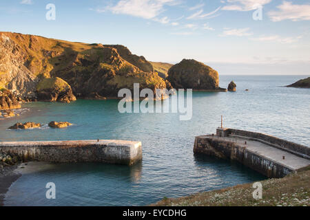 Mullion Cove sur la Péninsule du Lézard en Cornouailles Banque D'Images