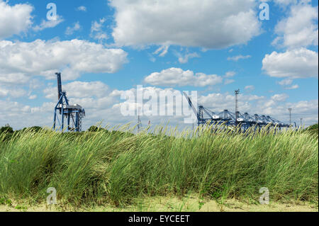 Port à conteneurs de Felixstowe. Banque D'Images