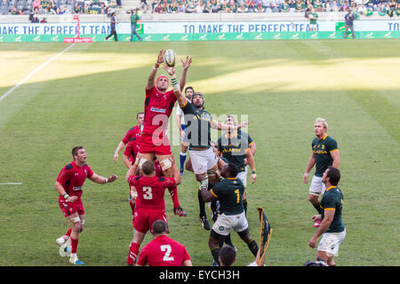 Victor Matfield Tendai Mtawarira pris en charge par l'Afrique du Sud, de voler la balle dans l'alignement de Galles au cours de la 2e test match Banque D'Images