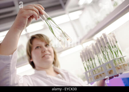 La recherche scientifique en laboratoire sur les plantes
