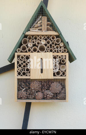 Close up vue avant du tableau d'oiseaux Banque D'Images