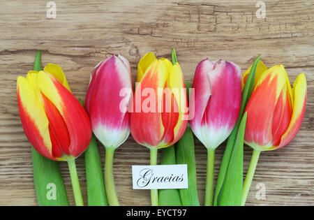 Gracias (ce qui signifie merci en espagnol) avec tulipes colorées Banque D'Images