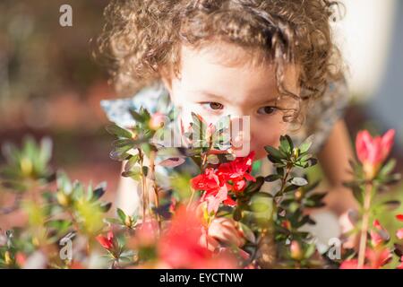 Jeune fille, fleurs odorantes, à l'extérieur Banque D'Images