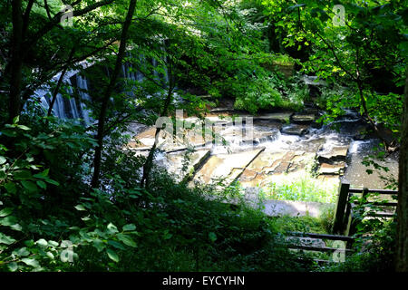 Yarrow Valley Country Park, Lancashire, Angleterre, Banque D'Images