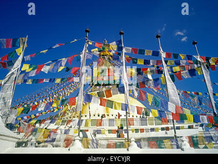 Bodnath Stupa, les drapeaux de prières, Boudhanath Temple, Boudhanath, Katmandou, Népal, Asie Banque D'Images