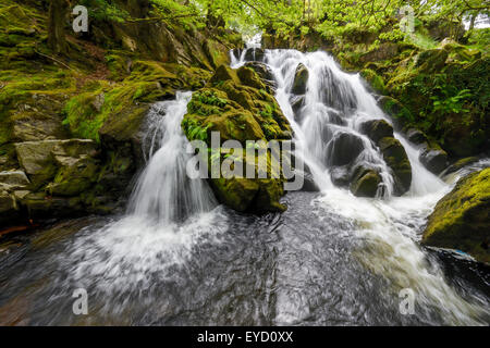 Cascade près de Llanberis, Snowdonia, Nord du Pays de Galles. Banque D'Images