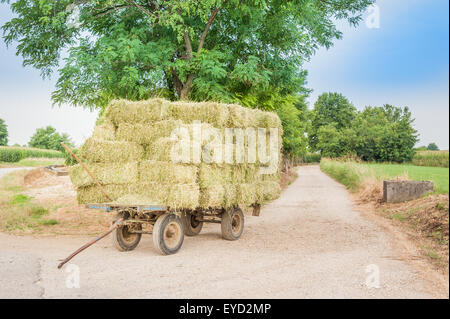 Panier ferme avec hay bales stacked à gauche sur la route Banque D'Images