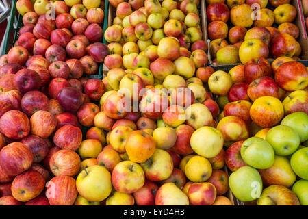 Fresh rouge, jaune et vert pomme Banque D'Images