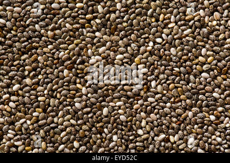 Le chia seeds. Superfood sain. Banque D'Images