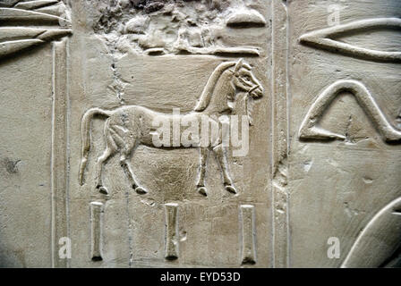 Louxor, Egypte : le soulagement d'un cheval de la tombe de Ramosé (TT55) XVIII° dyn., de grands tombeaux. Banque D'Images