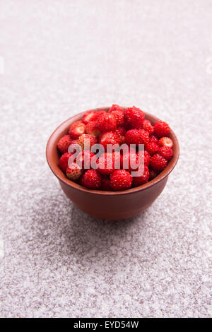 Fraises biologiques sauvages dans un bol sur la table en pierre blanche Banque D'Images