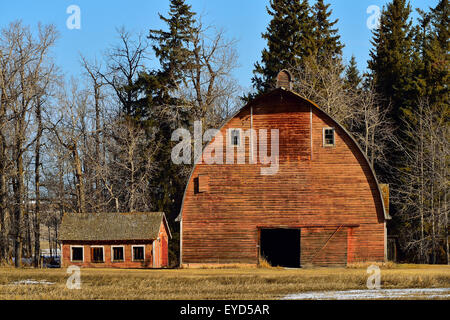 Un printemps image paysage d'une ancienne grange et remise Banque D'Images