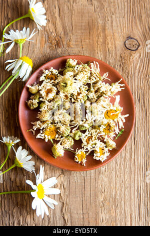 Camomille fleurs séchées naturelles biologiques (marguerites) fleurs Banque D'Images